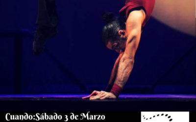 INTENSIVO VERTICALES. 3 MARZO. DINO