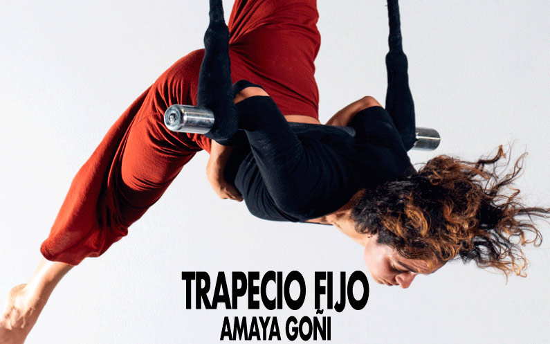 TRAPECIO FIJO. Amaya Goñi. 12 -13/12
