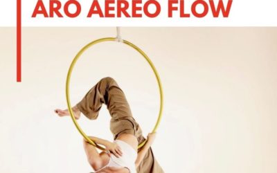 INTENSIVO DE LOOPS AÉREOS Y ARO AÉREO FLOW con Cristina Garcés 4/6