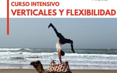 INTENSIVO: VERTICALES Y FLEXIBILIDAD con Ilaria Grigioni