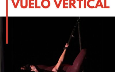 INTENSIVO DE POLE AÉREO: VUELO VERTICAL con Brenda Puig