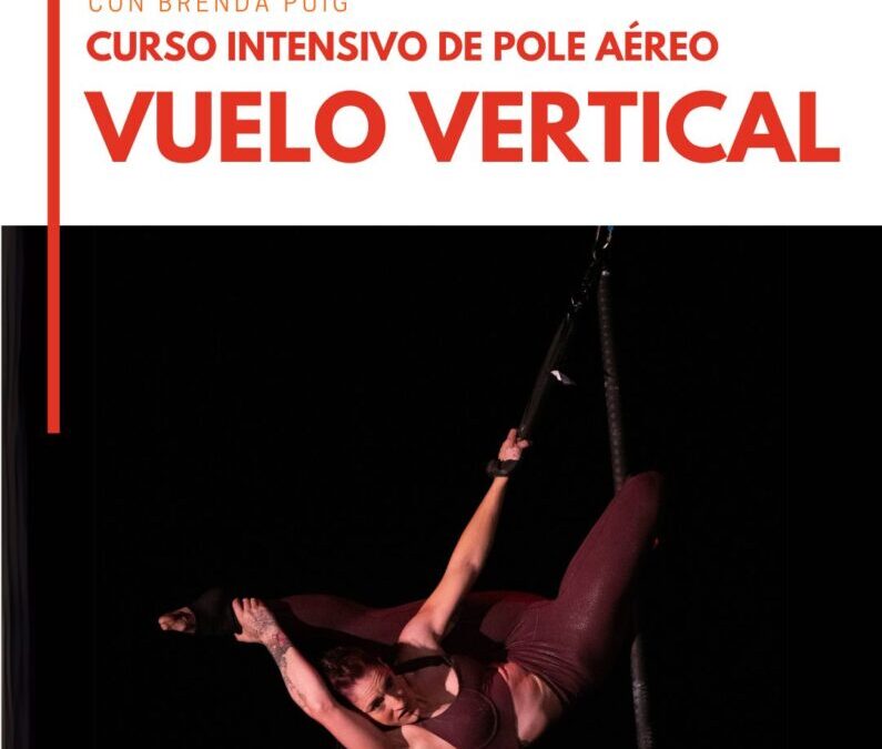 INTENSIVO DE POLE AÉREO: VUELO VERTICAL con Brenda Puig