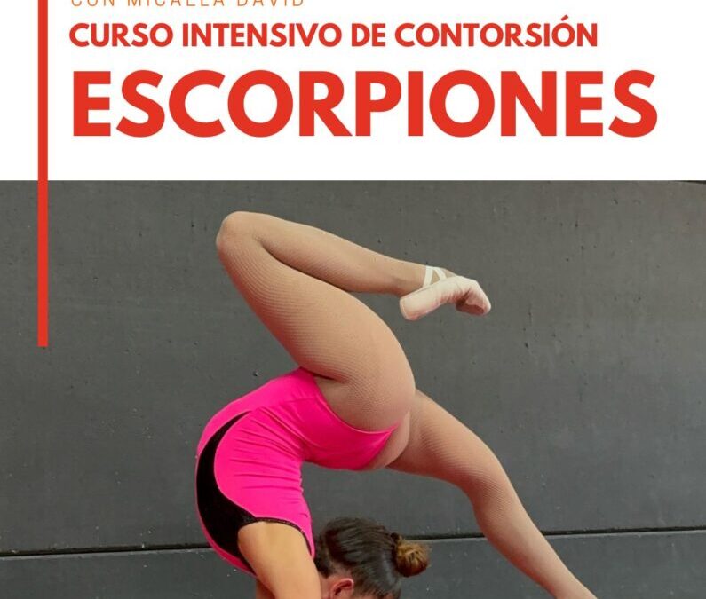 INTENSIVO DE CONTORSIÓN: ESCORPIONES con Micaela David